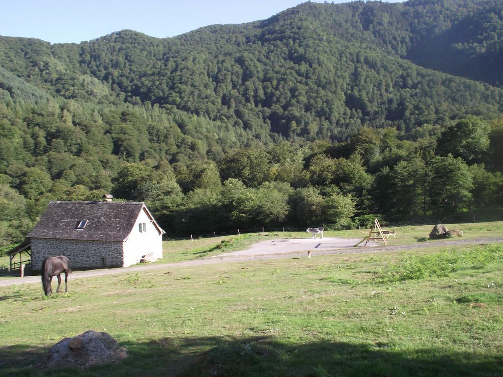 Les Chalets De La Foret D'Issaux Osse-en-Aspe Phòng bức ảnh