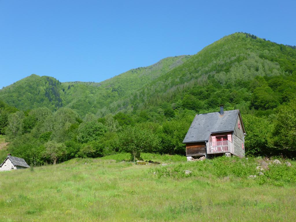 Les Chalets De La Foret D'Issaux Osse-en-Aspe Ngoại thất bức ảnh