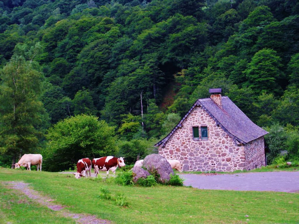 Les Chalets De La Foret D'Issaux Osse-en-Aspe Ngoại thất bức ảnh
